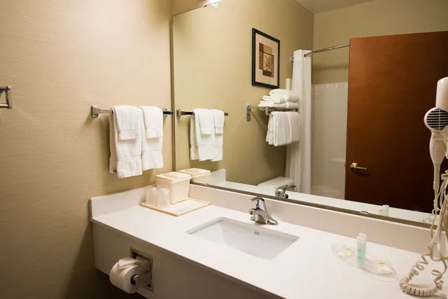 جناح بسرير كينج مع أريكة يُسمح فيها بالحيوانات الأليفة، Comfort Suites Springfield RiverBend Medical 3/3