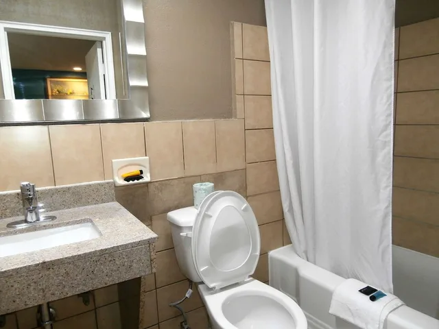 غرفة بسرير كينج للمدخنين لذوي الإعاقة، Americas Best Value Inn - Savannah 1/2