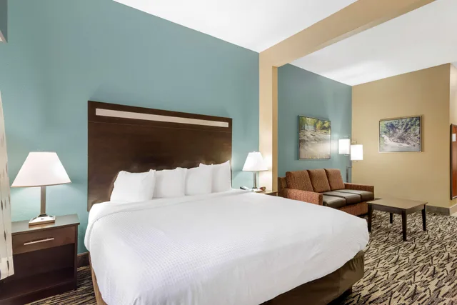 جناح بسرير كينج، Best Western Plus McDonough Inn & Suites 2/4