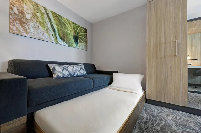 suite, multiple beds، SpringHill Suites by Marriott Palm Desert 1/6