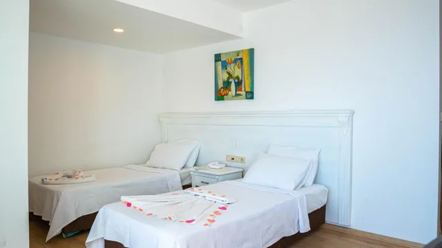 Room, Double Bed, Honeymoon Hotel 5/5