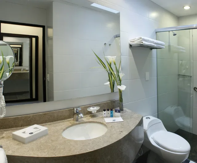 غرفة قياسية بسريرين منفصلين، Estelar Recinto del Pensamiento Hotel 4/4