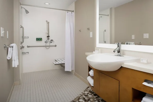 استوديو بسرير كينج مع سرير سحّاب إضافي، Springhill Suites Jackson Ridgeland the Township At Colony Park 4/5