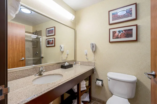 جناح بسرير كينج، Comfort Inn & Suites Cedar City South, UT 4/6