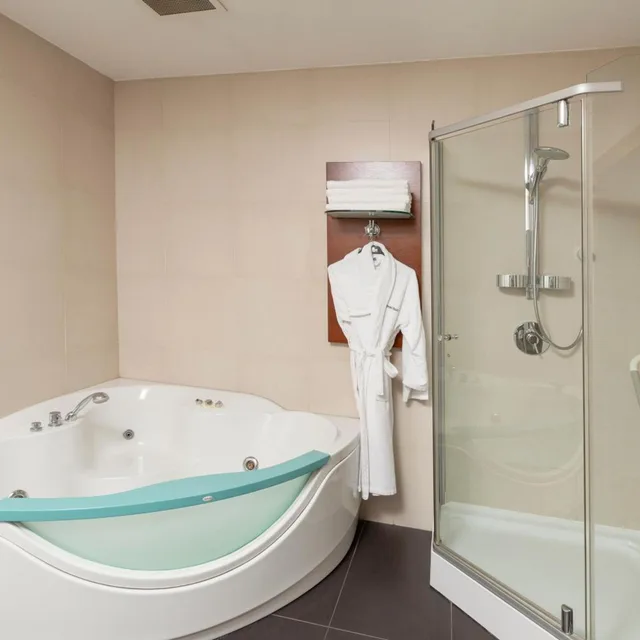 penthouse suite، Nippon Hotel 5/5