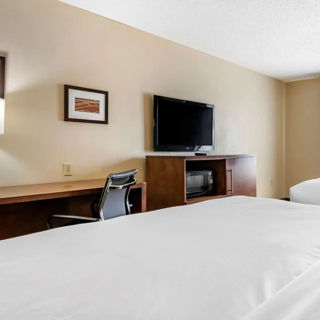 غرفة بسريرين كوين لذوي الإعاقة، Comfort Inn Suites Statesboro 1/6