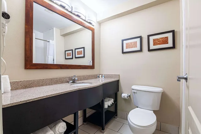 Suite, King Bed, Sofa, Comfort Suites Morrow- Atlanta South 5/6