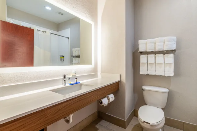 جناح بسرير كينج لذوي الإعاقة، Holiday Inn Express Hotel And Suites Statesville 2/2