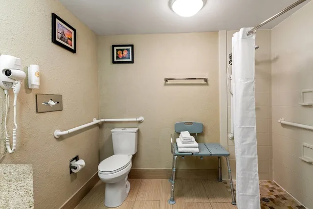 غرفة بسرير كينج لذوي الإعاقة، Comfort Inn Roswell-Dunwoody 9/9
