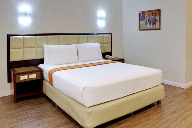 غرفة ديلوكس بسرير مزدوج، Rothman Hotel 4/10
