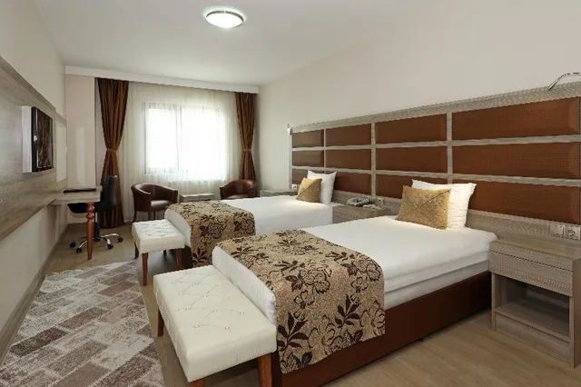 غرفة مفردة، Seckin Otel Sakarya 1/1
