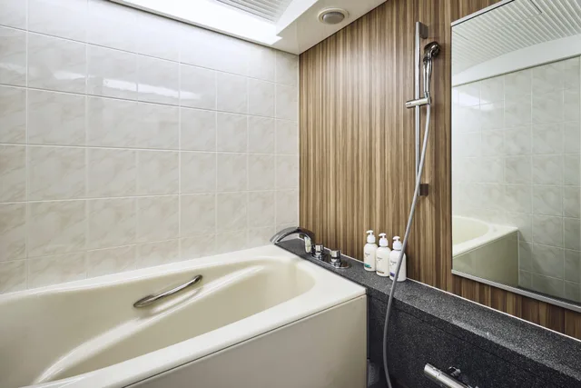 جناح بغرفة نوم واحدة، Holiday Inn Kyoto Gojo by IHG 1/2
