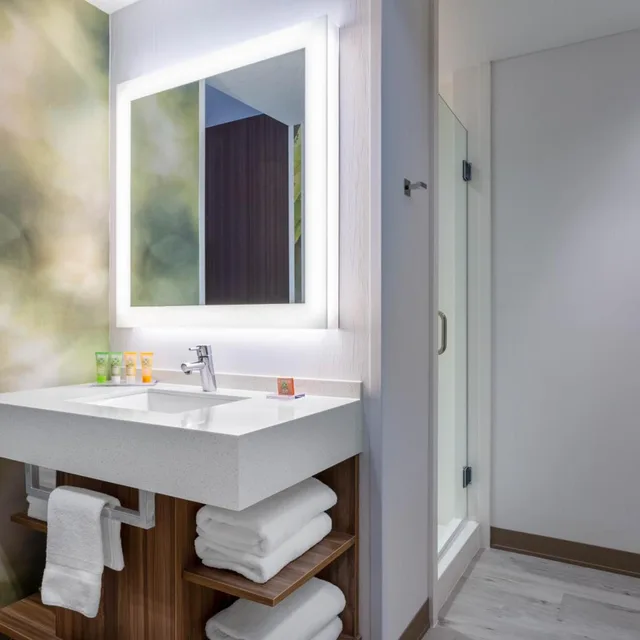 جناح بسرير كينج مع أريكة، Wyndham Garden Orlando Universal I Drive 4/4