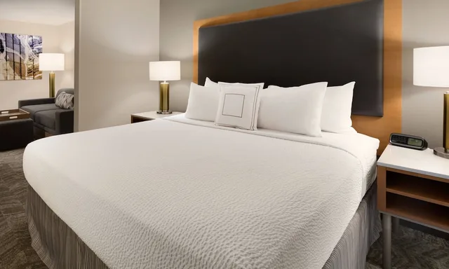 جناح بسرير كينج لذوي الإعاقة، SpringHill Suites Phoenix North 2/3