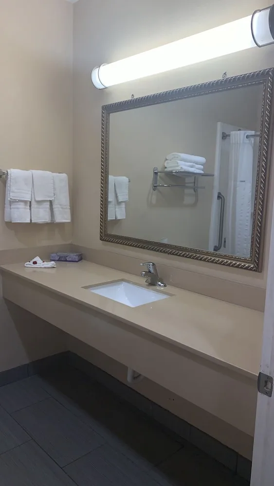 غرفة أساسية بسرير كينج، Downtowner Inns & Suites 4/4