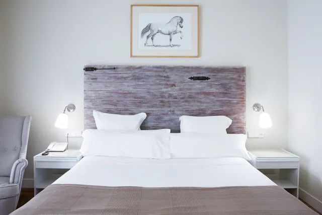 Double Room Single Use، Hotel Jerez AQ35 3/4