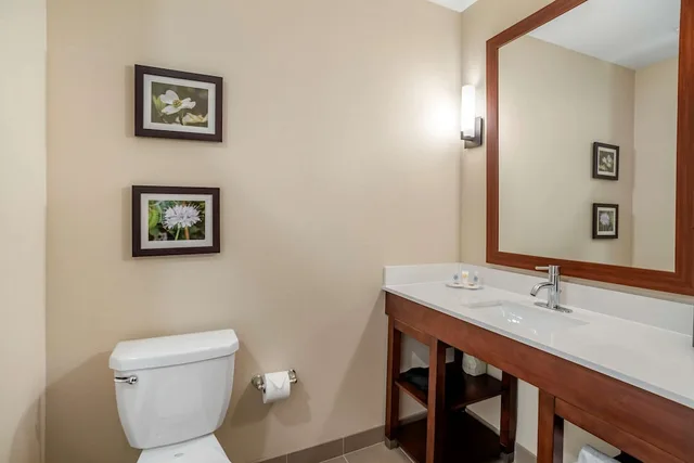 Standard, 2 Queen Beds, Comfort Inn & Suites Winchester VA 3/5