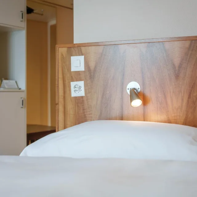 غرفة اقتصادية مفردة بسرير مزدوج، Hotel Schweizerhof Basel 4/5