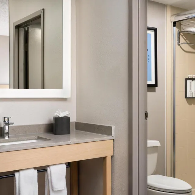 غرفة بسرير كينج مع أريكة في طابق مرتفع، Hyatt Place Richmond/Innsbrook 5/6