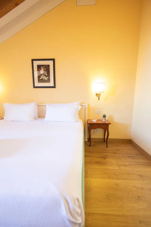 Room, Double or Twin Bed, Lake View, Attic, Hotel Pallanza 3/3