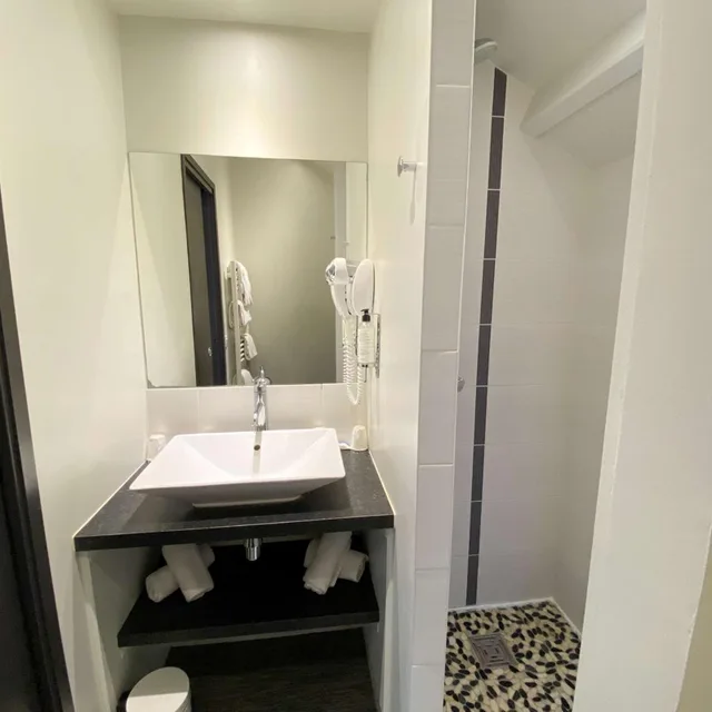 Studio, Apartment, Queen Bed, Best Western Le Cheval Blanc 8/10