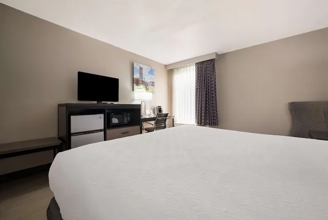 غرفة قياسية بسرير كينج، Best Western Executive Inn Battle Creek 3/4