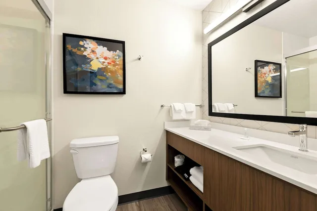 غرفة مفردة بسرير كينج، Everhome Suites Nampa Boise 3/4