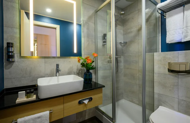 غرفة كومفورت بسرير مزدوج أو سريرين منفصلين، Leonardo Hotel Budapest 4/4