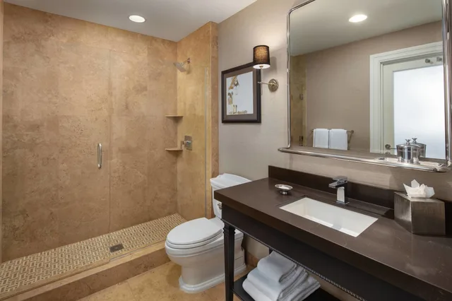 جناح جونيور بسرير كينج، The Us Grant A Luxury Collection Hotel San Diego 2/2
