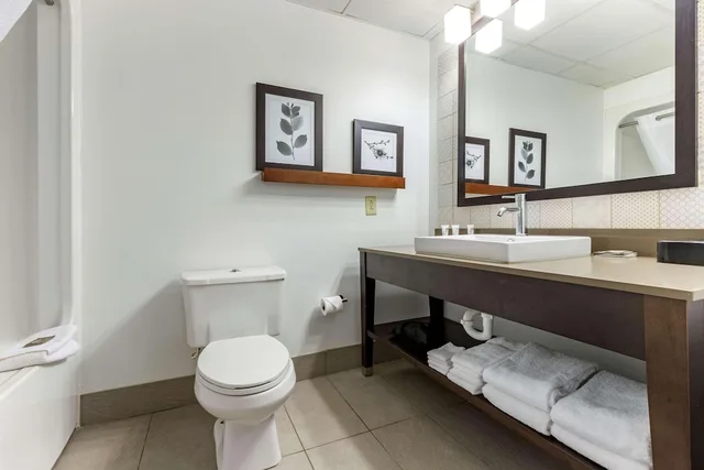 غرفة بسرير كينج، Country Inn & Suites By Radisson Lumberton Nc 3/4