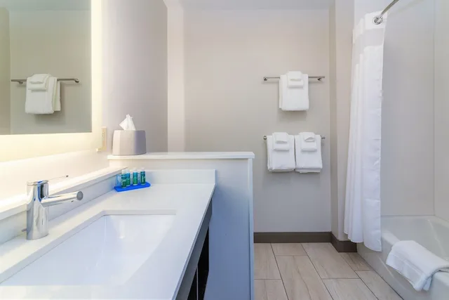 غرفة قياسية بسرير كينج لذوي الإعاقة، Holiday Inn Express Suites Allen Park 5/6