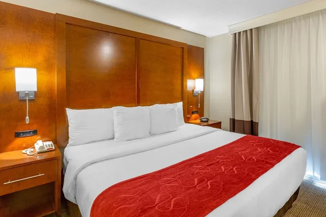 Suite, King Bed, Sofa, Accessible, Comfort Suites Oakbrook Terrace - Chicago West 1/2