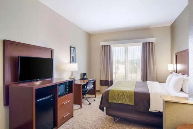 جناح بسرير كينج لذوي الإعاقة، Comfort Inn Blackshear Hwy 84 3/4