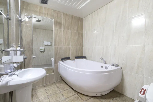 غرفة بريميوم بسرير مزدوج، Dom Hotel 4/4