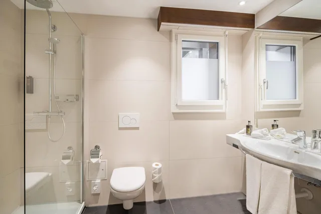 Room, Double Bed, Street View, Seehotel Pilatus 3/3