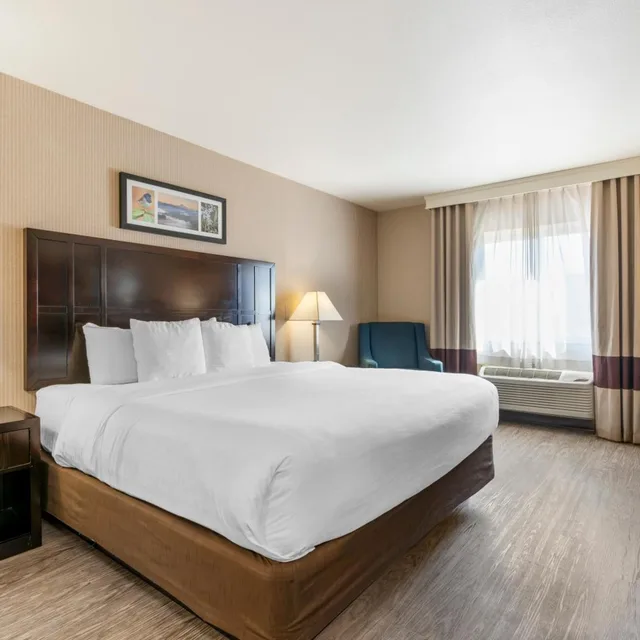 غرفة بسرير كينج يُسمح فيها بالحيوانات الأليفة، Comfort Inn Troutdale-Portland East 1/5