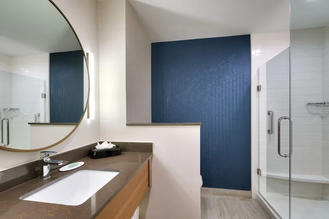استوديو بسرير كينج مع أريكة لذوي الإعاقة، Fairfield Inn & Suites by Marriott Houston League City 4/4