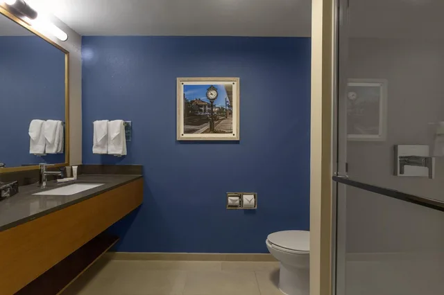 Room, Double Bed, Accessible, Fairfield Inn Suites Elizabeth City 4/4