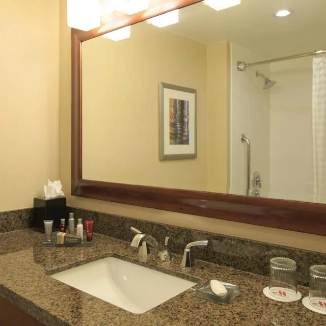 غرفة بسرير كينج بحوض استحمام لذوي الإعاقة، Gaithersburg Marriott Washingtonian Center 2/5