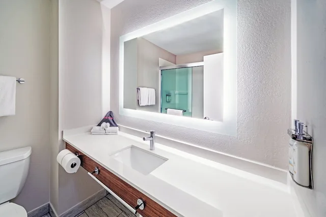 غرفة قياسية بسرير كينج، Holiday Inn Express Hotel And Suites Del Rio 6/6