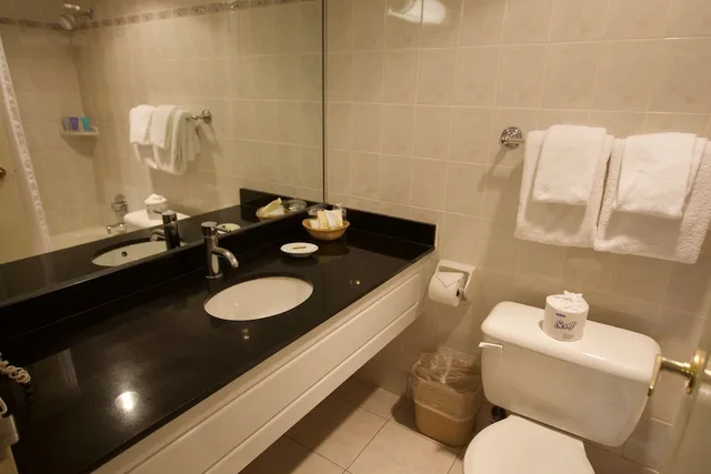 جناح استوديو بسريرين مزدوجين، Century Plaza Hotel & Spa 10/10