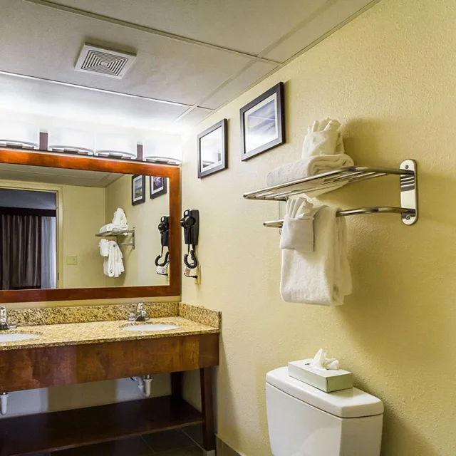 جناح ديلوكس بسرير كينج، Comfort Inn Cleveland Downtown 8/10