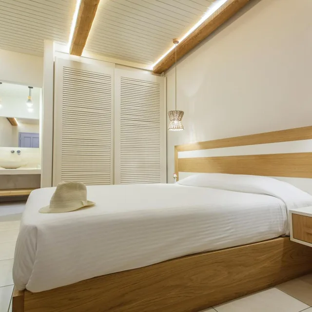 غرفة بسرير مزدوج بإطلالة على المسبح في المبنى الرئيسي، Aeolos Resort Mykonos 1/10