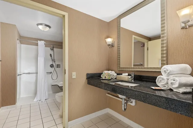 غرفة حصرية ديلوكس بسرير كينج مع أريكة، Wyndham Garden Norfolk Downtown 5/9