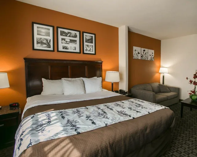 جناح، Sleep Inn Suites Highway 290 Nw Freeway 1/7