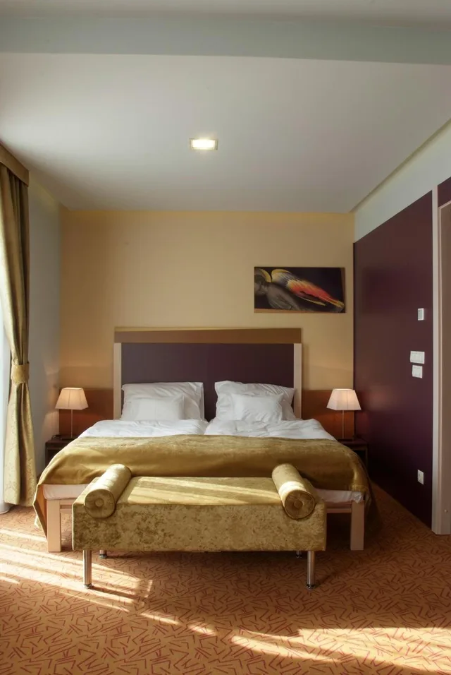 غرفة سوبيريور بسرير مزدوج أو سريرين منفصلين، Szent Gellert Hotel 2/9