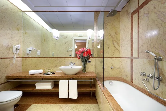 غرفة كلاسيكية بسرير مزدوج، Eurostars Hotel Excelsior 8/8
