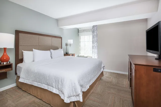جناح بسرير كينج بحوض جاكوزي، Hampton Inn & Suites Florence Center 2/6