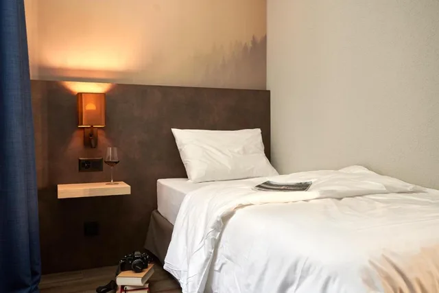 غرفة قياسية مفردة، THE HEY HOTEL INTERLAKEN 6/12