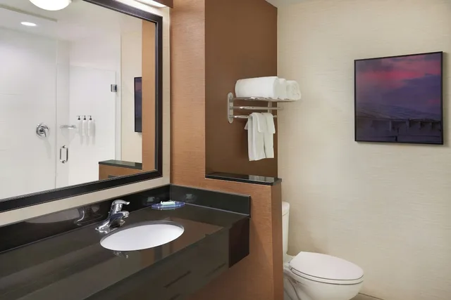 Suite, King Bed, Sofa, Fairfield Inn Suites Reading Wyomissing 6/6